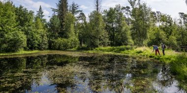 Fiets naar Baarle-Hertog en de Ravelse Bossen  