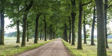 Fiets naar Merksplas-Kolonie en Kasteel de Renesse