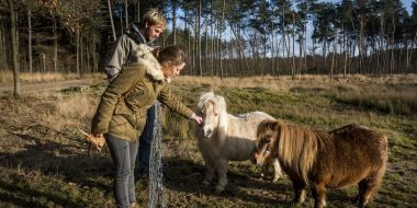 De Visbeek en het Kindernouw